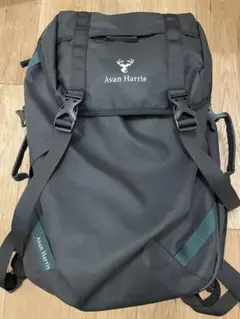 Avan Harris 黒 リュック・バックパック キャリーバック　ブラック