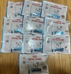 Item thumbnail for item 2a78d5b5-6b74-4f6b-b96f-5c28ee19f689