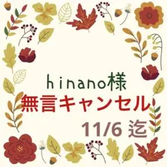 ♡hinano様 専用♡