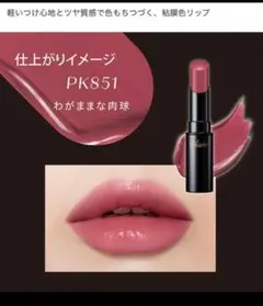 ヴィセ　ネンマクフェイクルージュ　PK851