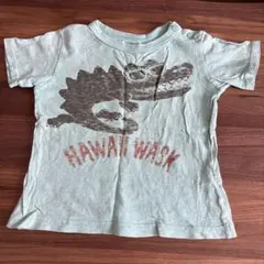WASK ワスクの水色Tシャツ　90cm usedのサムネイル