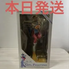 西村キヌ ストリートファイター ガール ファイティング フィギュア 春麗 西村キヌ コレクション ストリートファイターII 春麗 未開封 - メルカリ