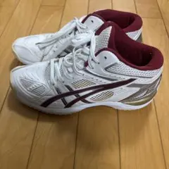 asics ゲルフープV4スリム/バスケットボールシューズ26センチ