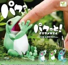 2026年最新】パクっと! イエアメガエルの人気アイテム - メルカリ