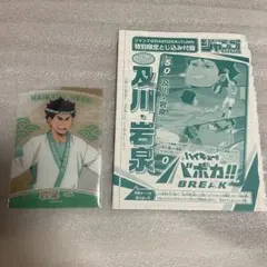 ハイキュー　及川　岩泉