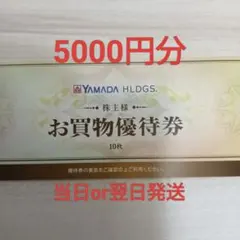 ヤマダ電機 株主優待券 5000円分