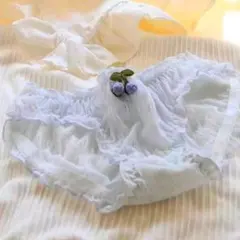 レディースランジェリー セクシー ショーツ ふんわり下着 ライトブルー 141