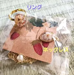 Item thumbnail for item 888baa9c-9bc4-4bbd-9f5d-5abc2bbfa941