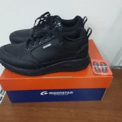 Item thumbnail for item 1f3522cd-8064-4a62-bb27-2d4757423346