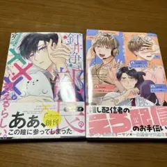 BL漫画 2冊セット