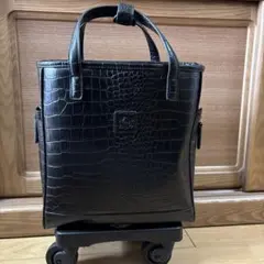 SWANY キャリーケース