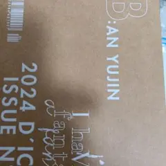 IVE ユジン　D'ICON A B 2点セット Amazon.co.jp: DICON VOLUME N°20 IVE : I haVE a dream, I haVE