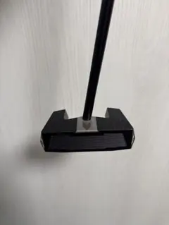 Item thumbnail for item b44c288c-1d00-48d9-8cb2-3f73d87db4e0