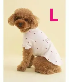 Item thumbnail for item e61c3b09-5094-4f06-8429-3b9906435420