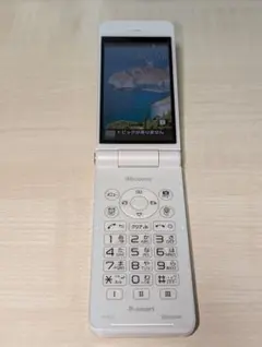 docomo P-01J ホワイト 折りたたみ式 ガラホ4G「Taka」 docomo P-01J ホワイト 折りたたみ式 ガラホ4G「Taka様専用