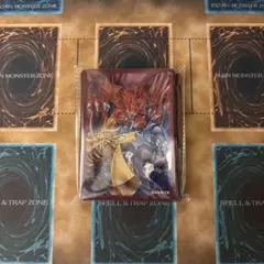遊戯王 霊王の波動 スリーブ 100枚 NEURON限定品 ランキングデュエル