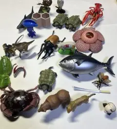 いきものフィギュアまとめ売り