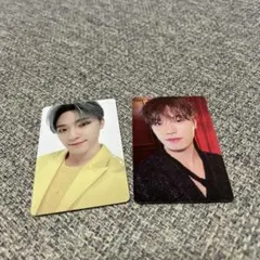 セブチ　トレカ　ディノ　シーグリ