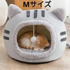 Item thumbnail for item 589f8585-cfb0-4d29-90d0-eb6801fc4e73