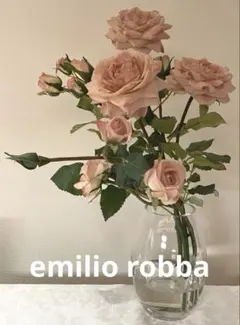 2025年最新】エミリオロバの人気アイテム - メルカリ