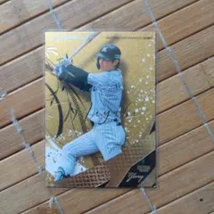 Item thumbnail for item 621ebc6e-edfe-4dc6-9a72-554c338dabff