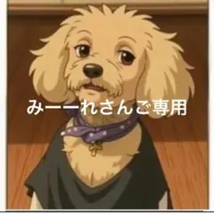 みーーれさんご専用