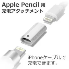 t*a様 匿名配送ApplePencil（第1世代）Lightningアダプタ