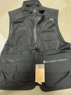 Item thumbnail for item 18db3879-b403-419f-81b6-8168632b6db1