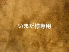 土屋蘭選手 記念舟券