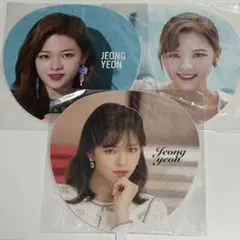 TWICE ジョンヨン うちわ まとめ売り