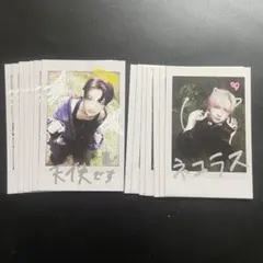 &TEAM NICHOLAS YUMA Back to Life 14枚セット