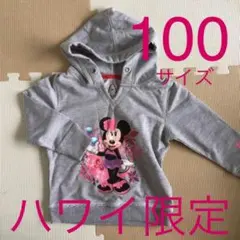 ディズニー ハワイアウラニ限定 パーカー　プリンセス　ミニー　100