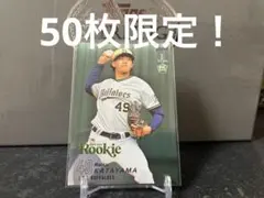 Item thumbnail for item 4c6a4020-2af6-45a1-942f-add781ef87c2