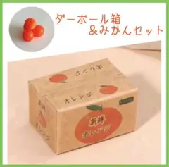 ミニチュア　ドールハウス　ディスプレイ　パーツ☆ みかん　オレンジ　段ボール　箱