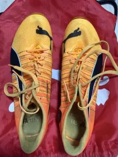 PUMAのサムネイル