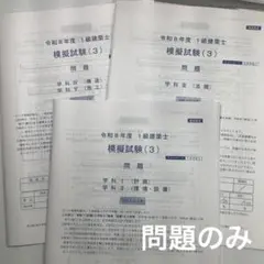 東進 千葉大 本番レベル模試 2024年度 - メルカリ