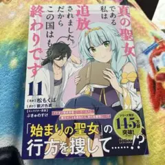 真の聖女である私は追放されました。だからこの国はもう終わりです(11)