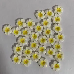 ぺたんこプルメリア 30個セット