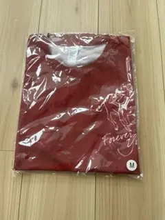 ノーザンホースパークマラソン Tシャツ M フォーエバーヤングのサムネイル