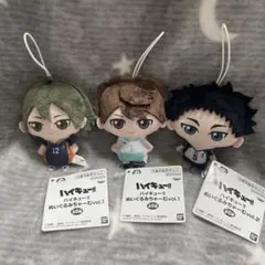 ハイキュー!!ぬいぐるみちゃーむ 山口忠 赤葦京治