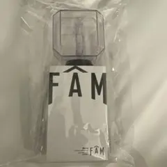 1回のみ使用◯timeleszタイムレス◯FAMペンライト