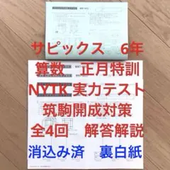 2025年最新】sapixの人気アイテム - メルカリ