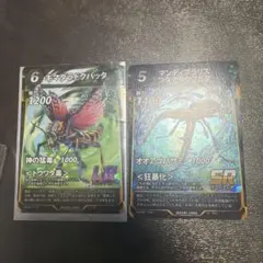 キマダラドクバッタ マンディブラリスフタマタ