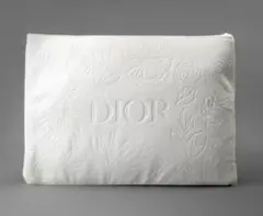 dp25 新品未使用本物 Dior ディオール　ノベルティポーチ
