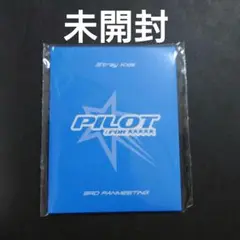 未開封 StrayKids ペンミ PILOT ID フォト 証明写真