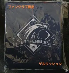 新品『楽天イーグルス』折り畳み ゲルクッション