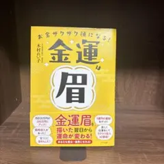 金運は眉 金運眉を描いた翌日から運命が変わる! お金ザクザク顔になる!