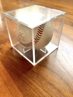 Item thumbnail for item adfa93a0-35a3-4f41-8e32-dc07f3d99331