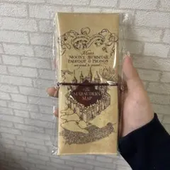 Item thumbnail for item f0421e12-79d8-4516-a516-3a7faf07e214