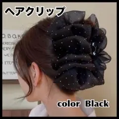 バンズクリップ